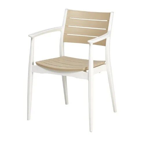 Silla Reposabrazos Monobloc REGNUM